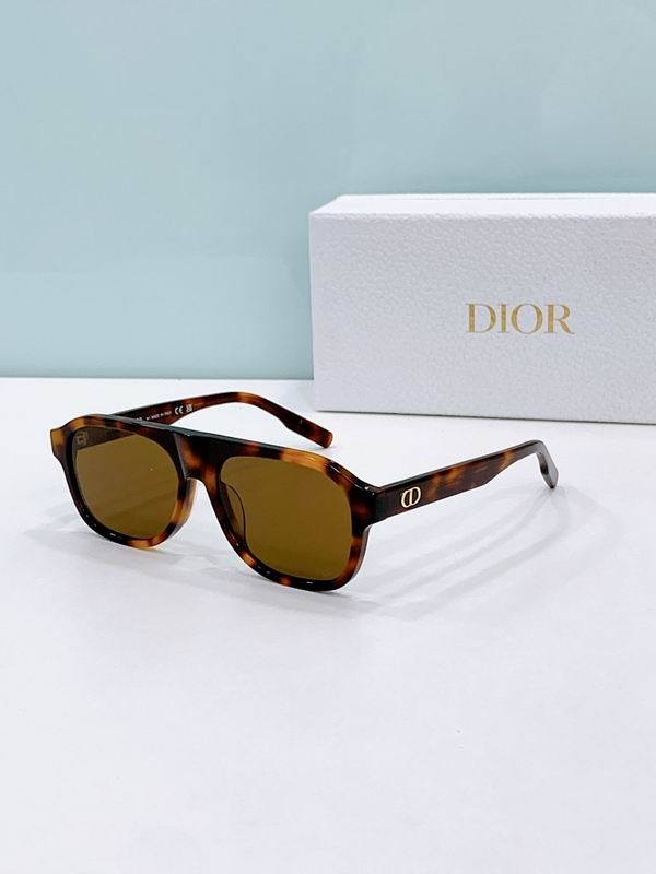 Dior Glasses smr (391)