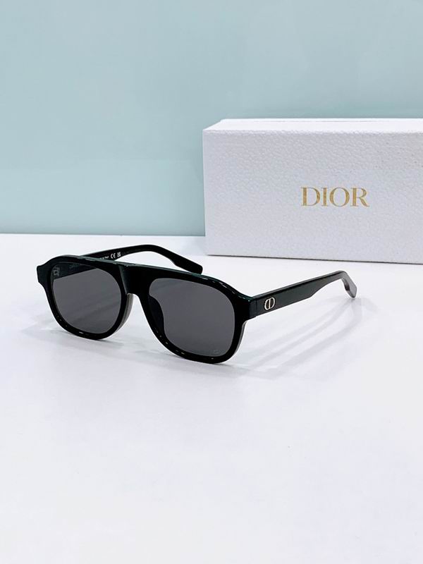 Dior Glasses smr (393)