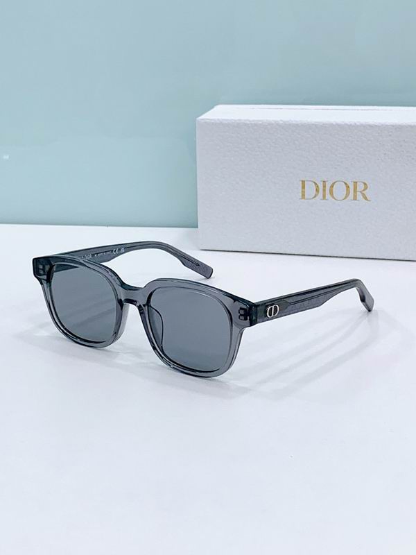 Dior Glasses smr (398)