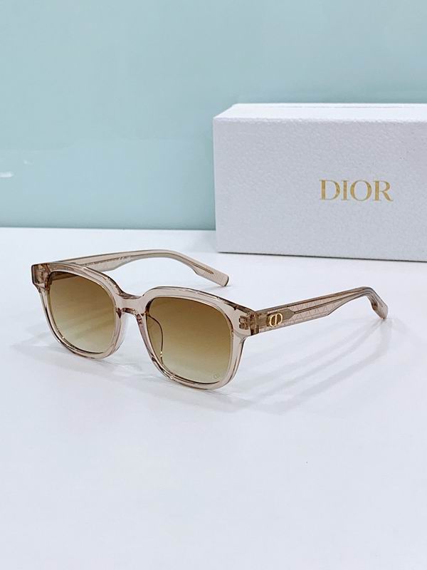 Dior Glasses smr (401)
