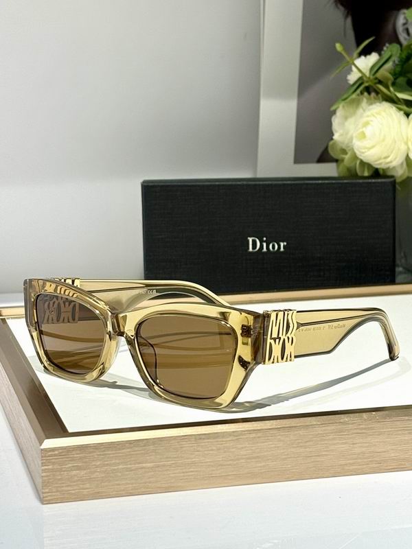 Dior Glasses smr (426)
