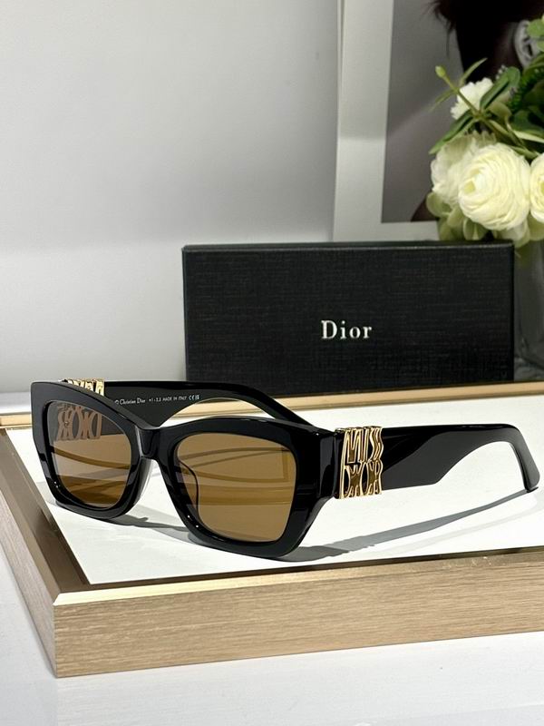 Dior Glasses smr (427)