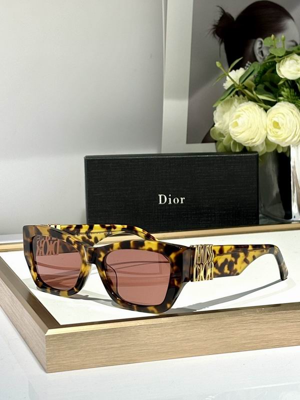 Dior Glasses smr (431)