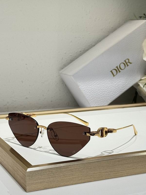 Dior Glasses smr (457)