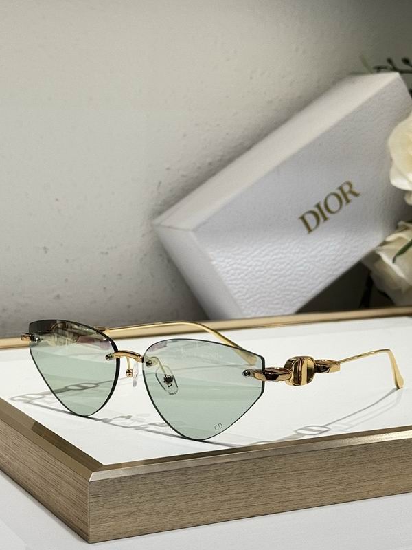 Dior Glasses smr (461)