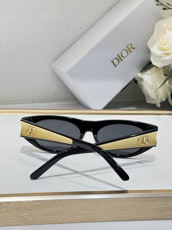 Dior Glasses smr (463)