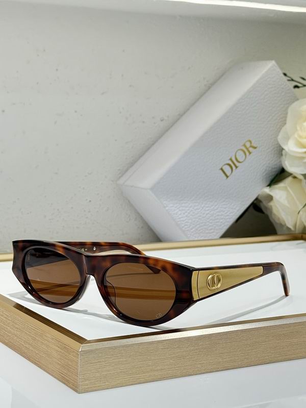 Dior Glasses smr (466)