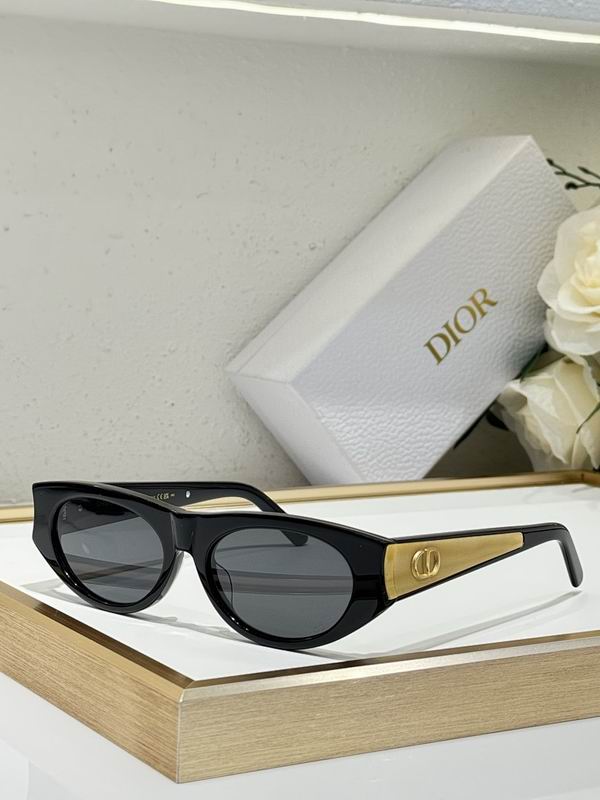 Dior Glasses smr (467)