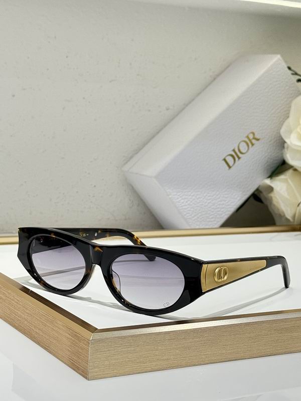 Dior Glasses smr (469)