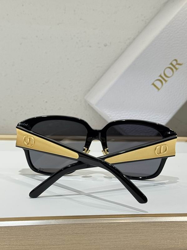 Dior Glasses smr (473)