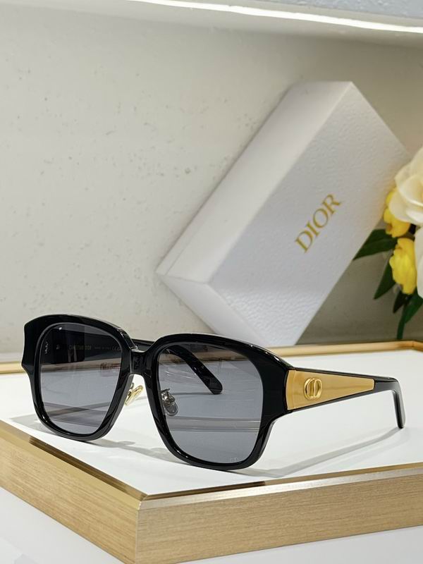 Dior Glasses smr (478)