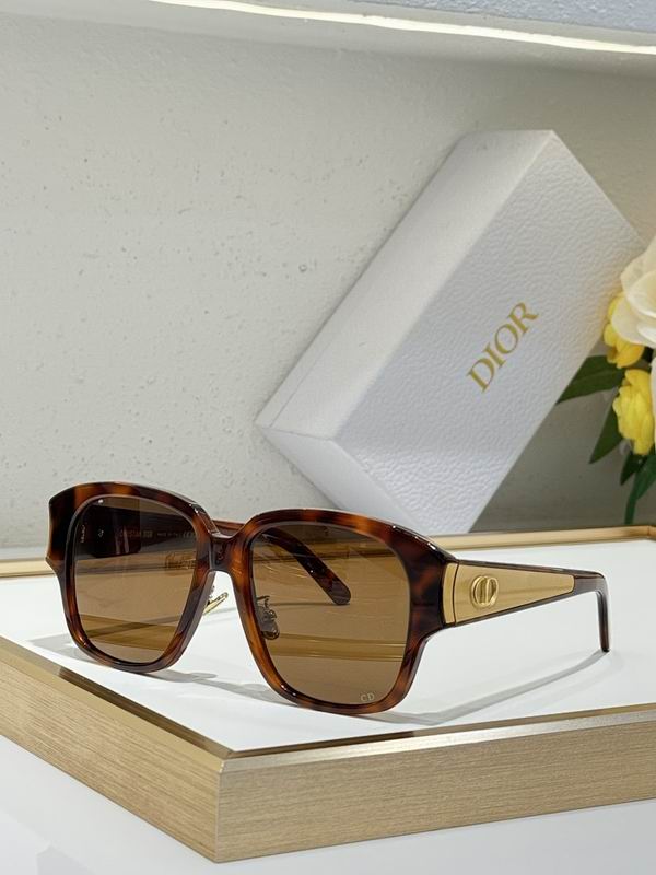 Dior Glasses smr (479)