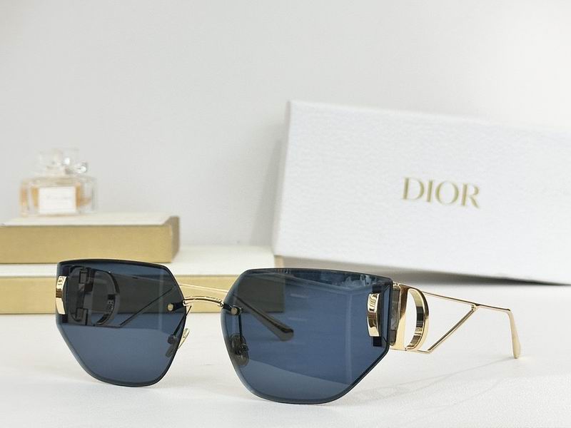 Dior Glasses smr (48)