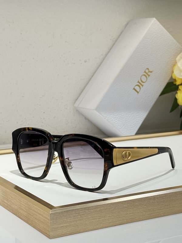 Dior Glasses smr (481)