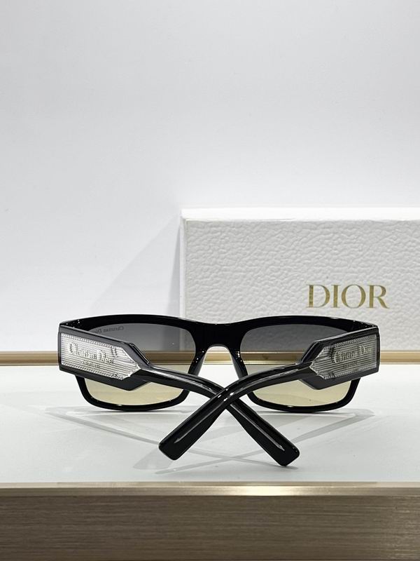 Dior Glasses smr (483)