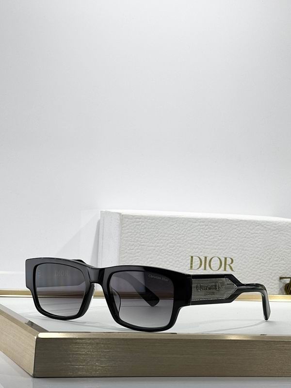 Dior Glasses smr (484)