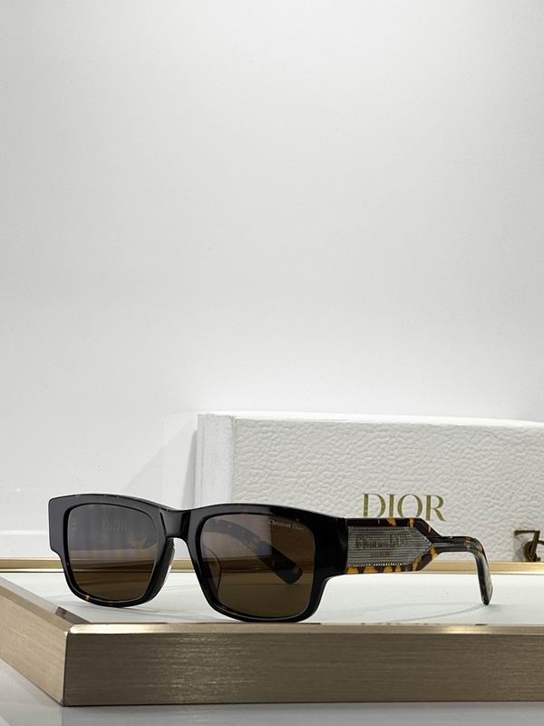 Dior Glasses smr (485)
