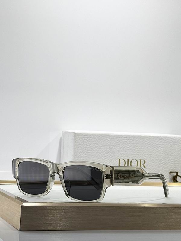 Dior Glasses smr (487)