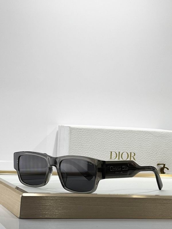 Dior Glasses smr (488)