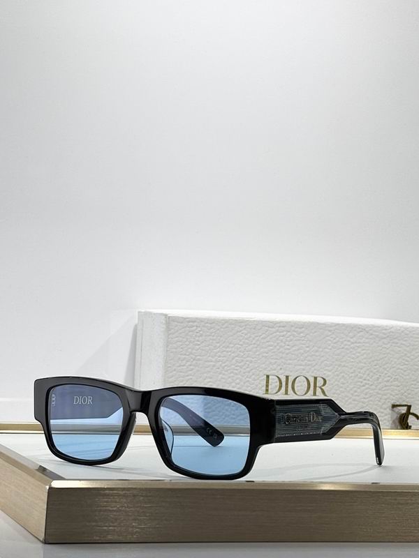 Dior Glasses smr (491)