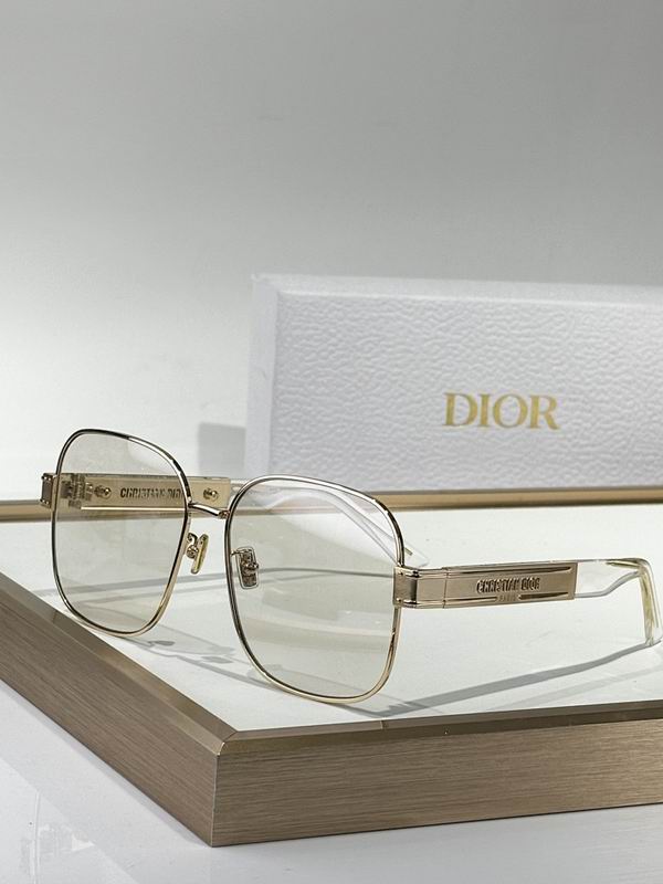 Dior Glasses smr (53)