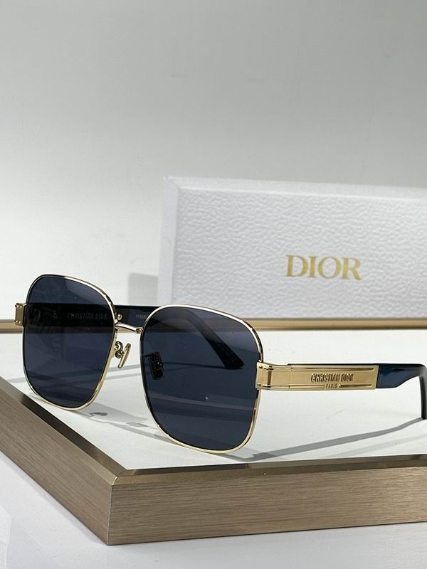 Dior Glasses smr (54)