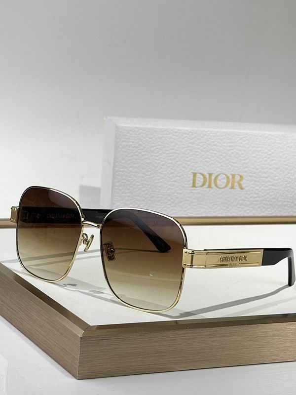 Dior Glasses smr (55)