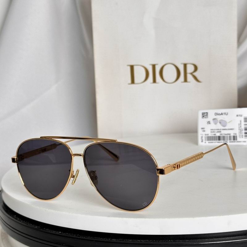 Dior Glasses smr (568)
