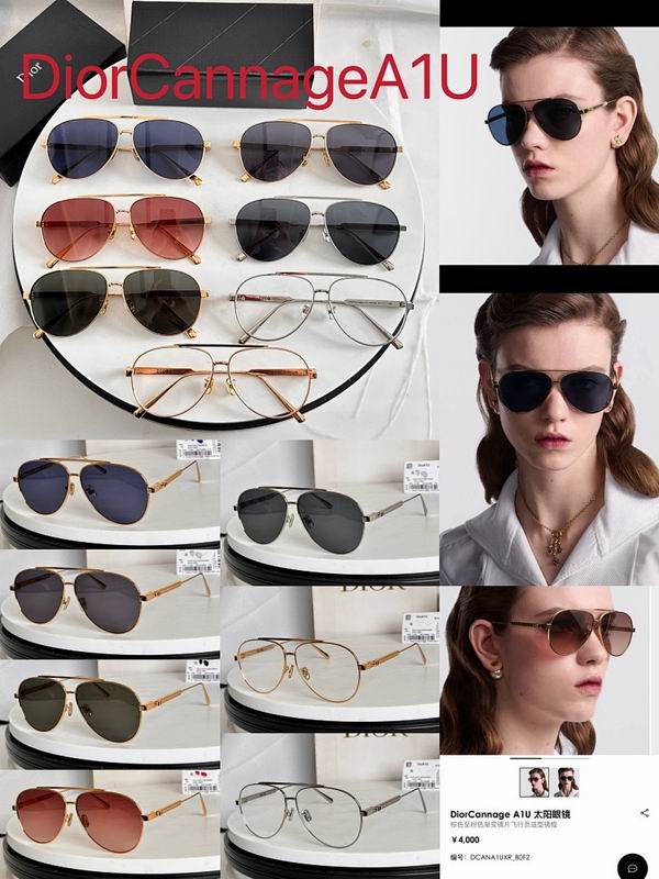 Dior Glasses smr (571)