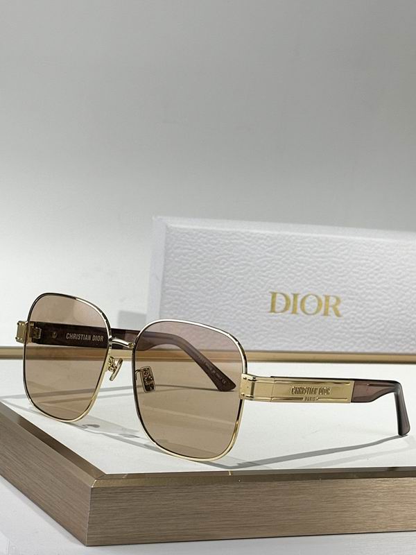 Dior Glasses smr (58)
