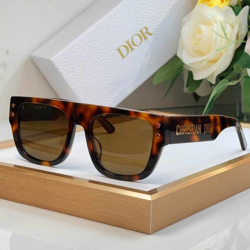 Dior Glasses smr (6)