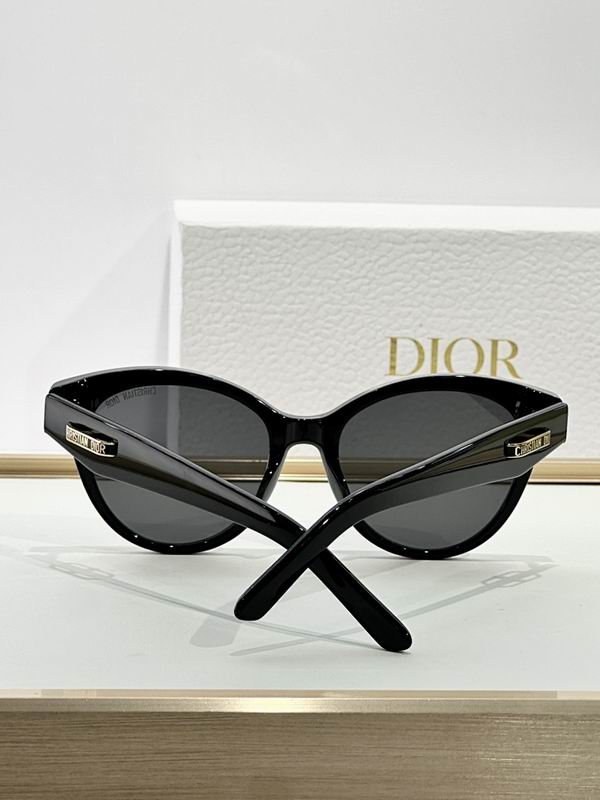 Dior Glasses smr (60)