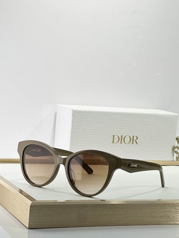 Dior Glasses smr (63)