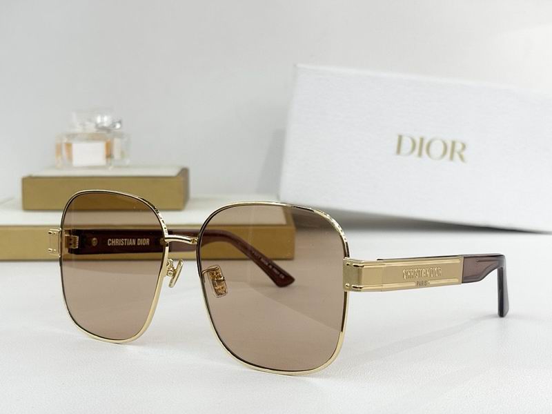 Dior Glasses smr (639)