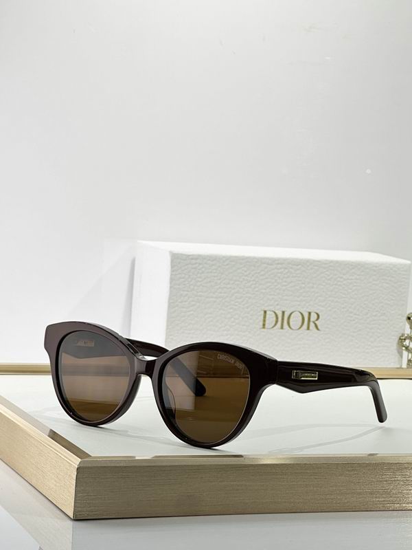 Dior Glasses smr (67)