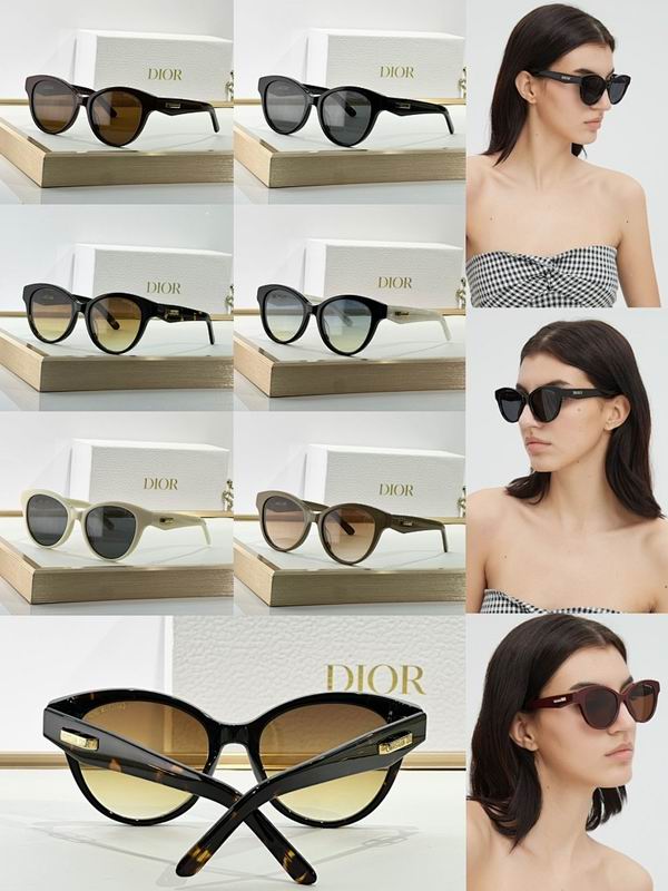 Dior Glasses smr (69)