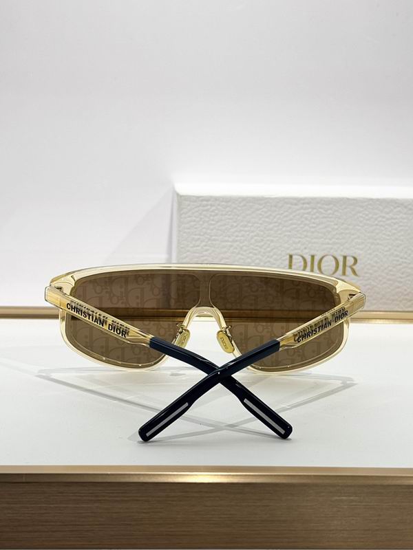 Dior Glasses smr (729)