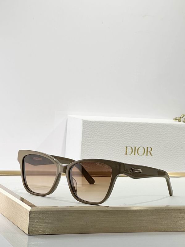 Dior Glasses smr (73)