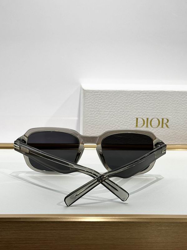 Dior Glasses smr (739)