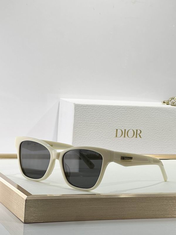 Dior Glasses smr (74)