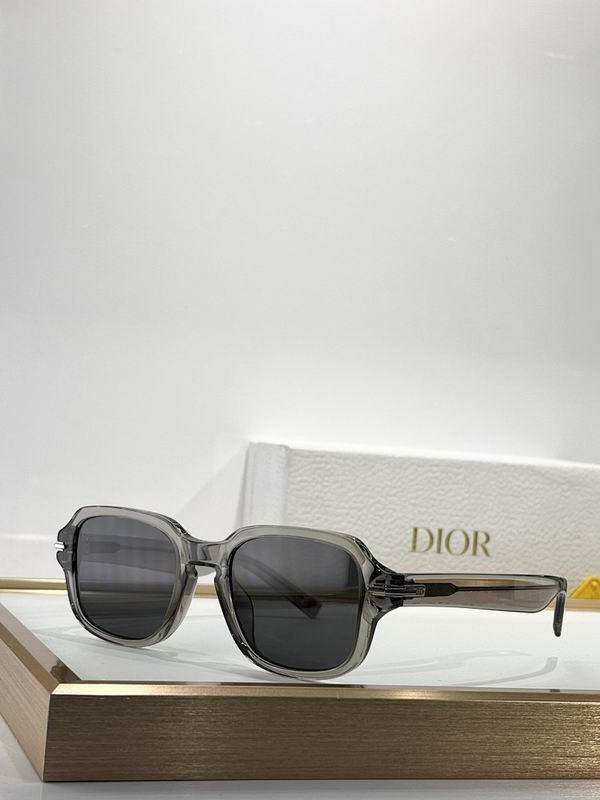 Dior Glasses smr (743)