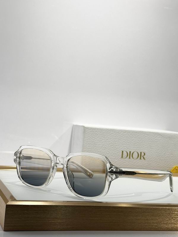 Dior Glasses smr (744)