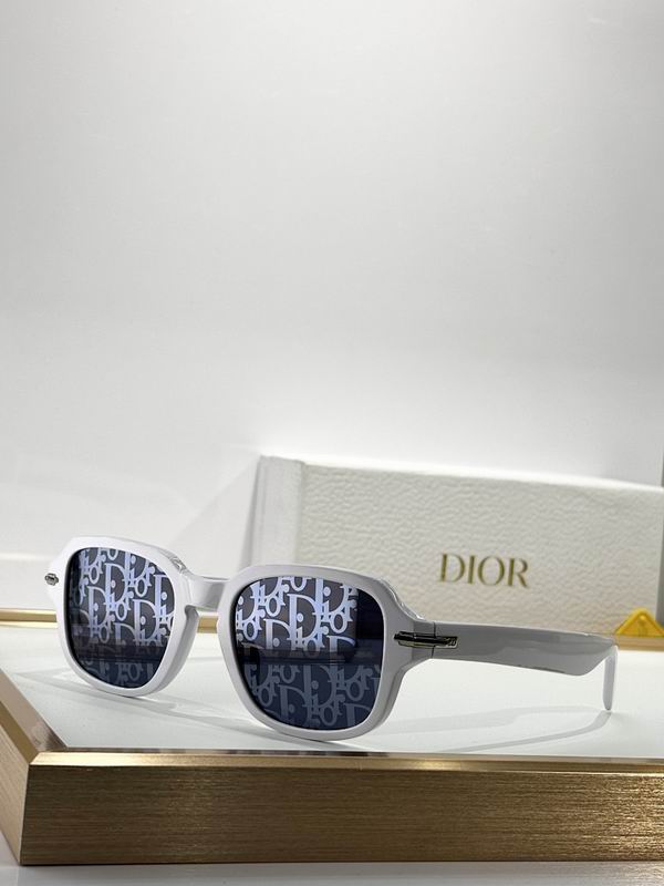 Dior Glasses smr (745)