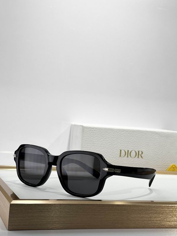 Dior Glasses smr (746)