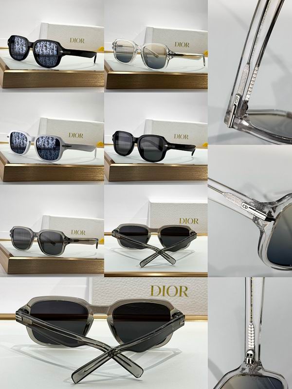 Dior Glasses smr (748)
