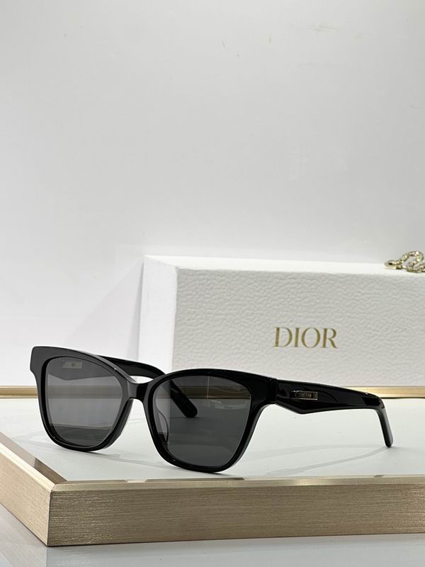 Dior Glasses smr (75)