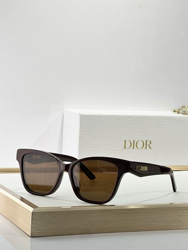 Dior Glasses smr (76)