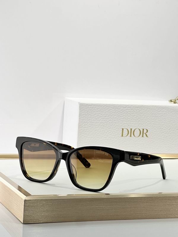 Dior Glasses smr (77)