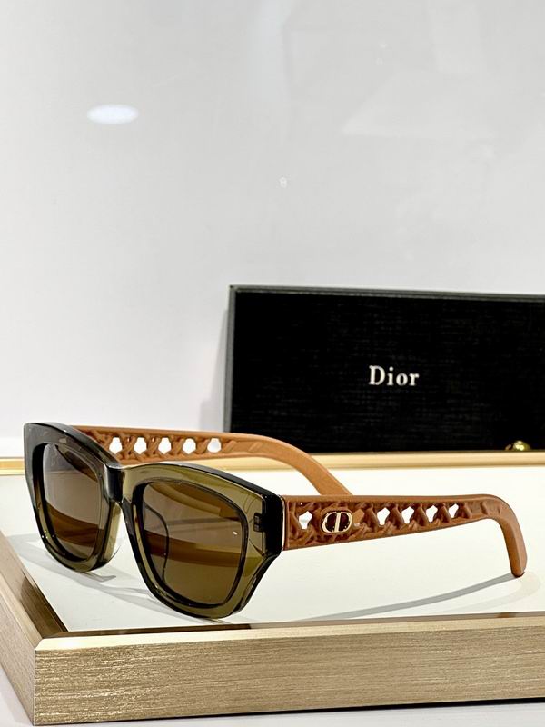 Dior Glasses smr (776)