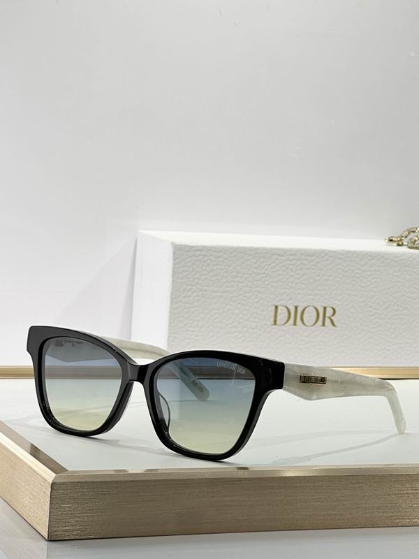 Dior Glasses smr (78)
